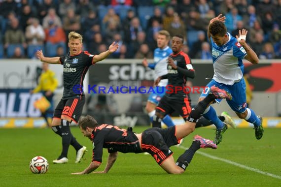 1.BL - 14/15 - TSG 1899 Hoffenheim vs Hamburger SV  (© Fotostand / Loerz)